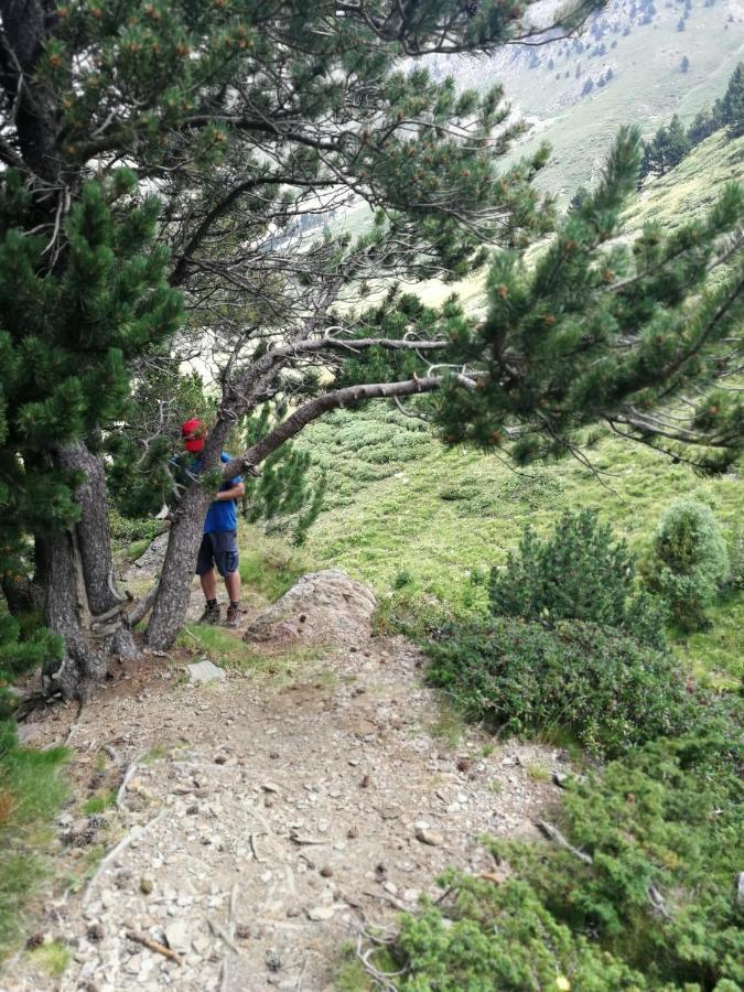 Pyrenees Catalanes Tres Joli Appartement 300M Telecabines Font-Romeu-Odeillo-Via المظهر الخارجي الصورة