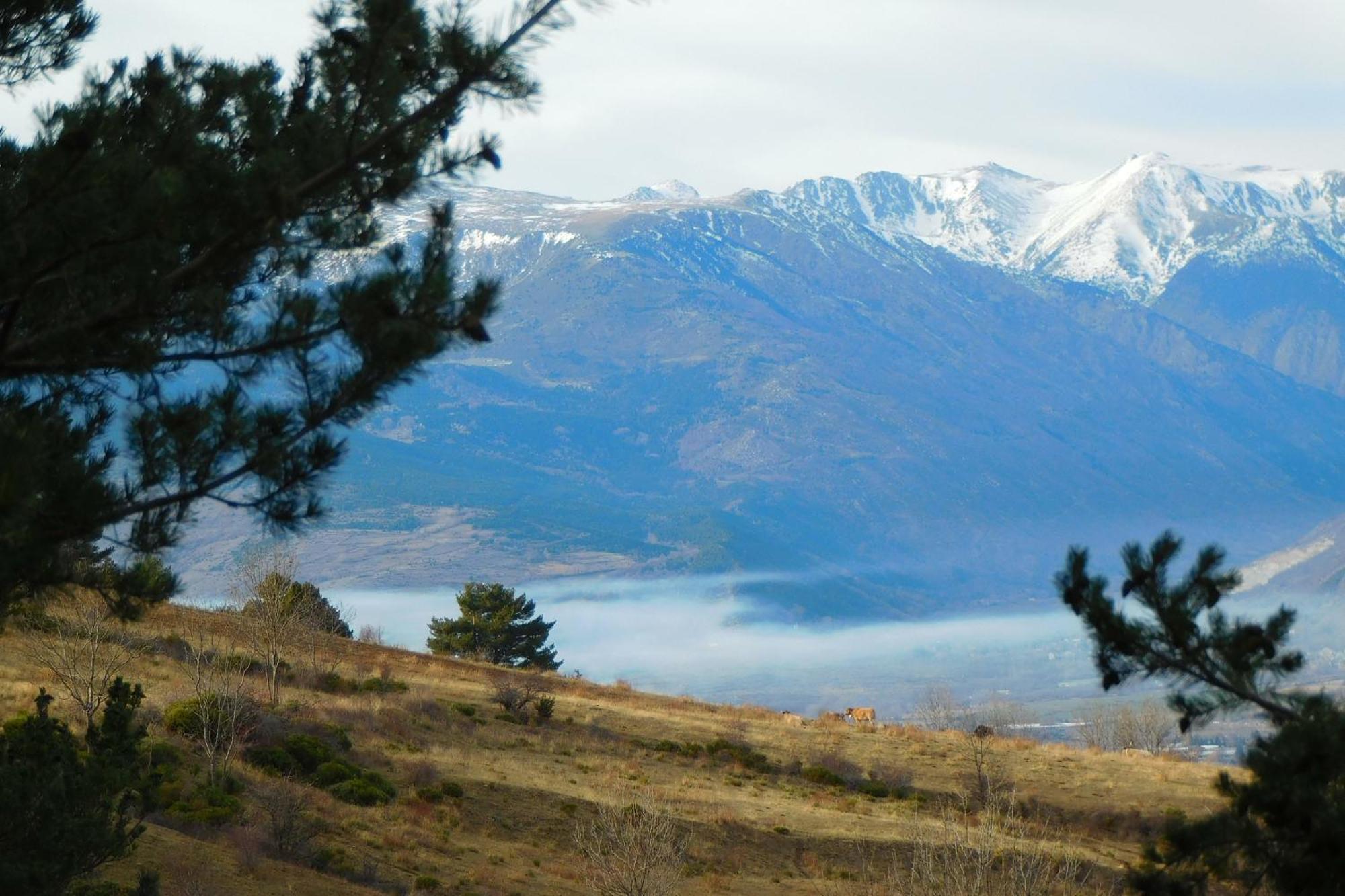 Pyrenees Catalanes Tres Joli Appartement 300M Telecabines Font-Romeu-Odeillo-Via المظهر الخارجي الصورة