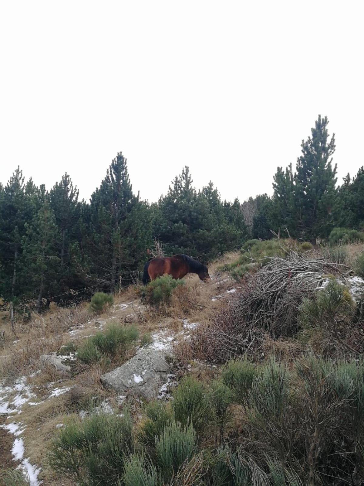 Pyrenees Catalanes Tres Joli Appartement 300M Telecabines Font-Romeu-Odeillo-Via المظهر الخارجي الصورة